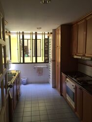Euro-Asia Park (D13), Condominium #354885461